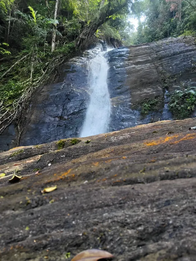 A waterfall cascading over a broad rock face surrounded by rainforest